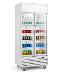 Refroidisseur vertical - 2 battants - 488 l - r290 -