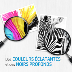 Cartouche D'encre HP 653 Noir Et Couleur (3YM75AE/3YM74AE)