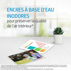 Cartouche D'encre Pack HP 61 Noir Et Couleur (CH561WA/CH562WA)