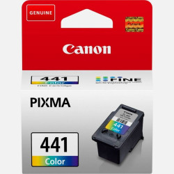 Cartouche D'encre Canon 441 Couleur (5221B001AA)
