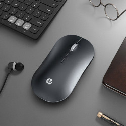 Souris sans fil HP DM10
