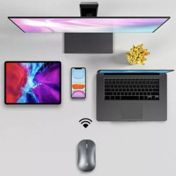Souris sans fil HP DM10
