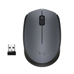 Souris Logitech M170