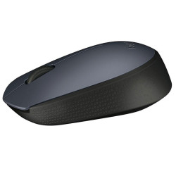 Souris Logitech M171