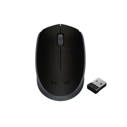 Souris Logitech M171