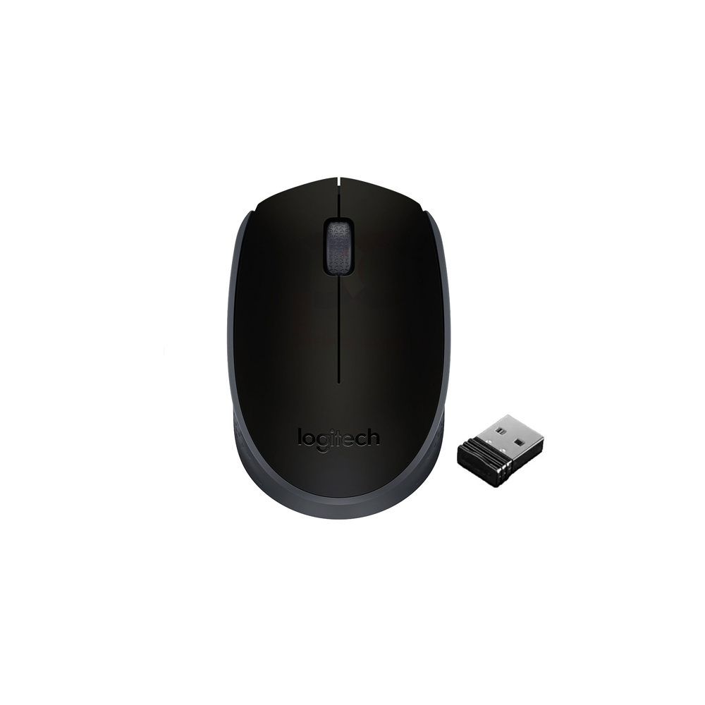 Souris Logitech M171