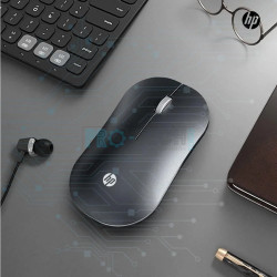 Souris sans fil HP DM10