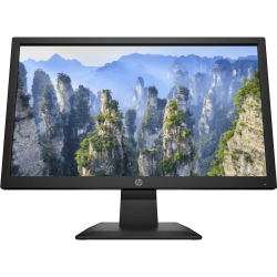 Ecran Pc HP Ordinaire 20 Pouces VGA HDMI FHD P20V G4