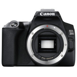 Appareil Photo Reflex Canon EOS 250D Noir