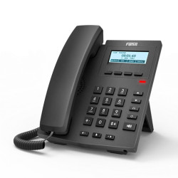 Télélphone IP Fanvil X1W