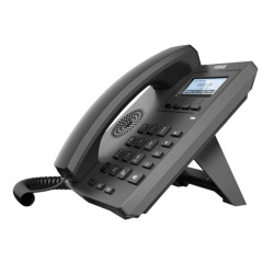 Télélphone IP Fanvil X1W