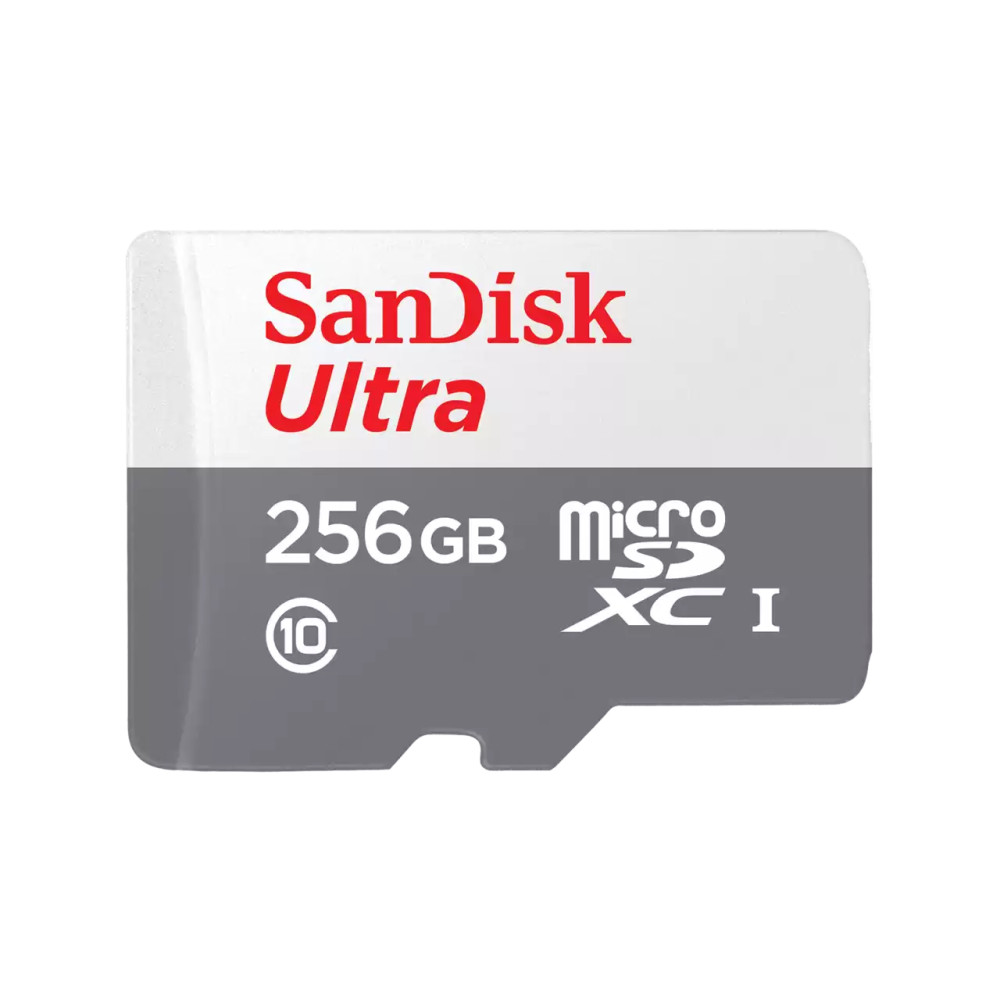 Carte mémoire SanDisk Ultra - 256 Go Carte microSD Extreme