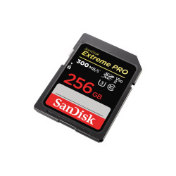 Carte mémoire SDXC SanDisk Extreme PRO 256 Go jusqu'à 300 Mo /