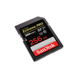 Carte mémoire SDXC SanDisk Extreme PRO 256 Go jusqu'à 300 Mo /