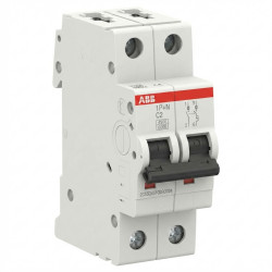 Disjoncteur modulaire - 1P+N - 2A - courbe C - 10000A/4,5kA -