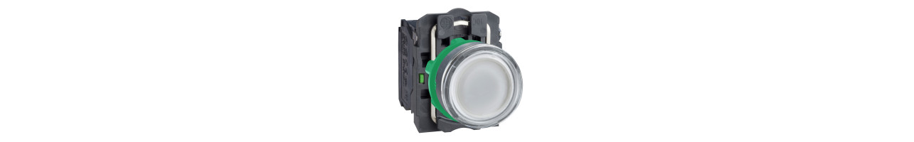 Bouton poussoir, interrupteur et voyant lumineux - Achat & Vente au ☎️ 07.19.19.19.31