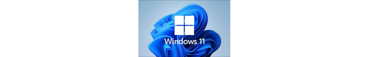 Windows 11 - Achat & Vente au ☎️ 07.19.19.19.31
